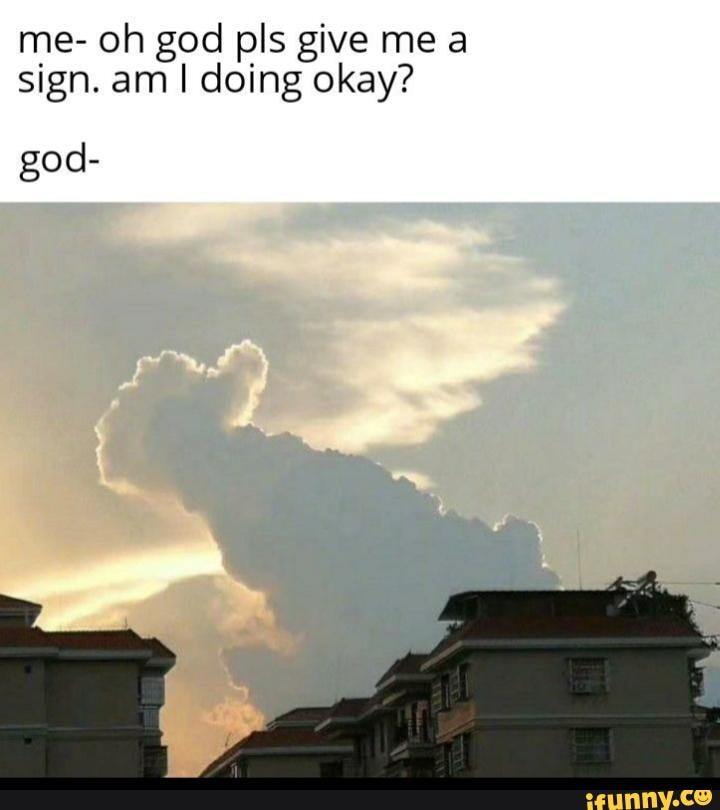 me- oh god pls give mea sign. am I doing okay?
god-