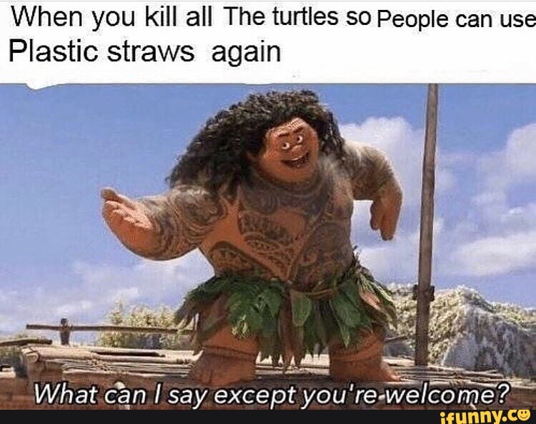 When you kill all The turtles so People can use