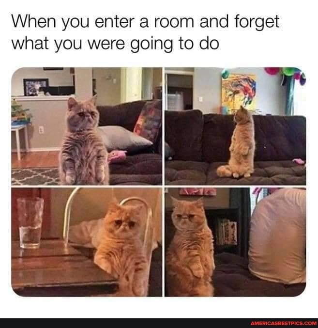When you enter a room and forget what you were going to do