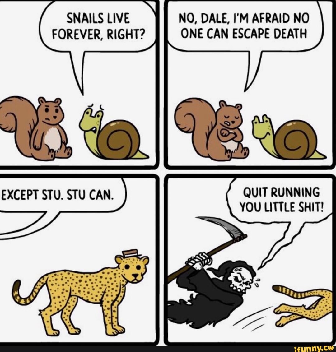 Snails Live No Dale I M Afraid No Forever Right One Can Escape Death Ifunny