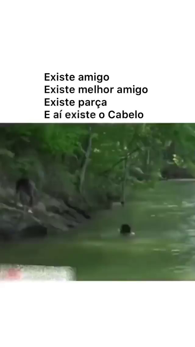 O Melhor Amigo que Existe!