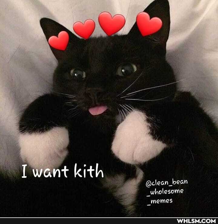 want kith
@clean_bear
_wholesome
_memes