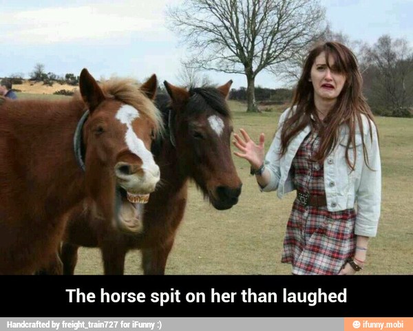 The horse spit on her than
ma - The horse spit on her than laughed
