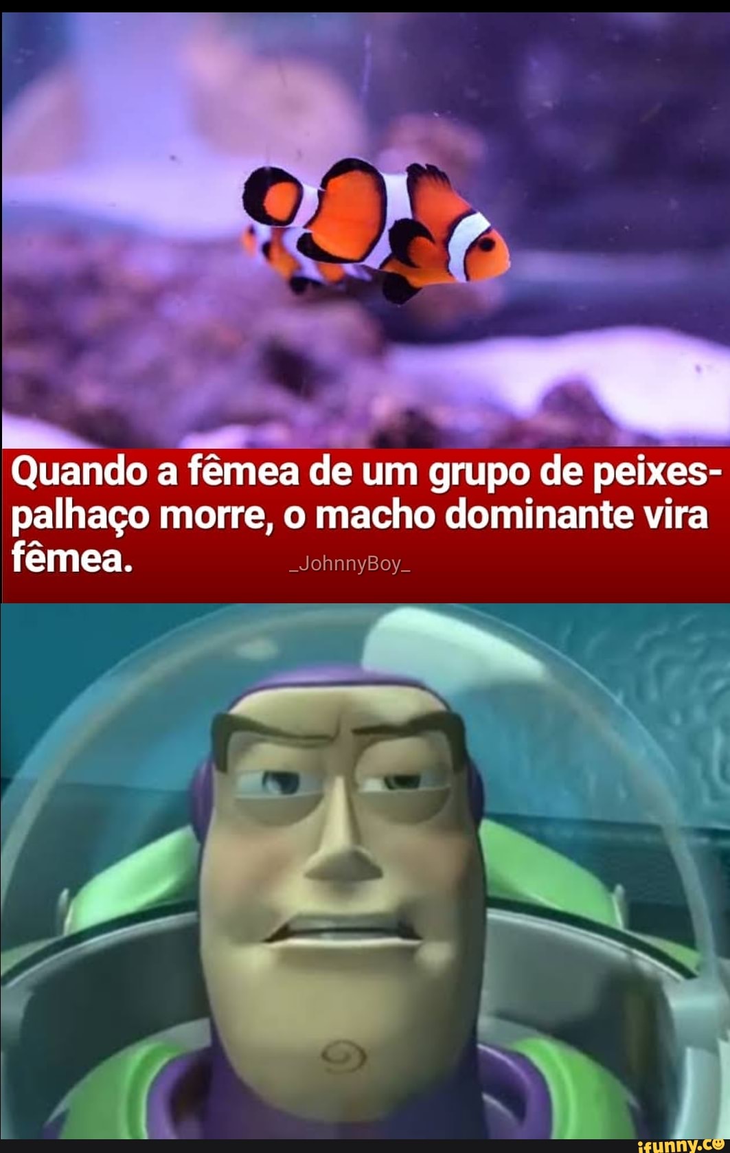 Quando a fêmea de um grupo de peixes-
palhaço morre, o macho dominante vira
fêmea. _JohnnyBoy_