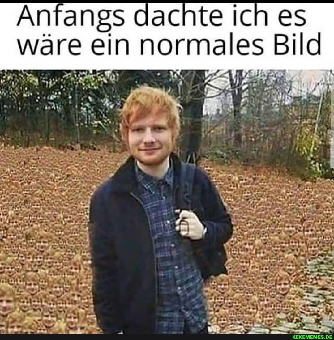 Anfangs dachte Ich es ware ein normales Bil