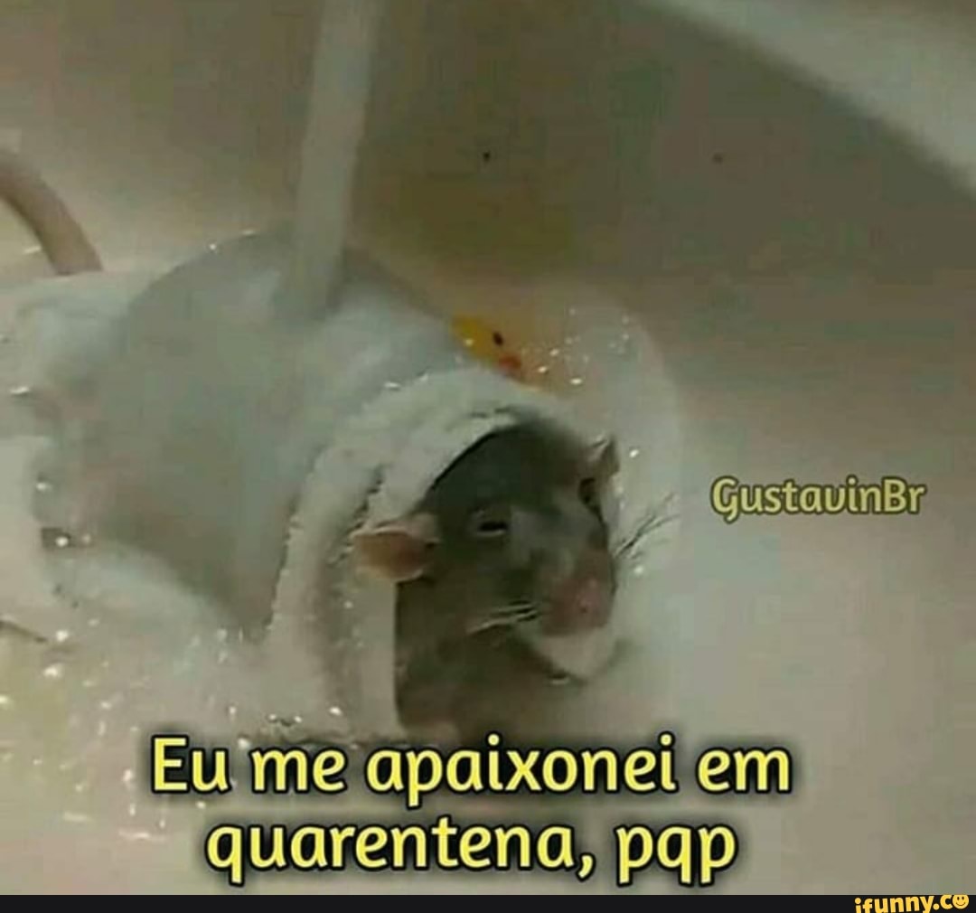 me apaixonei em quarentena,