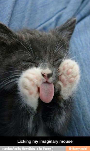 Licking my imaginary mouse - Licking my imaginary mouse