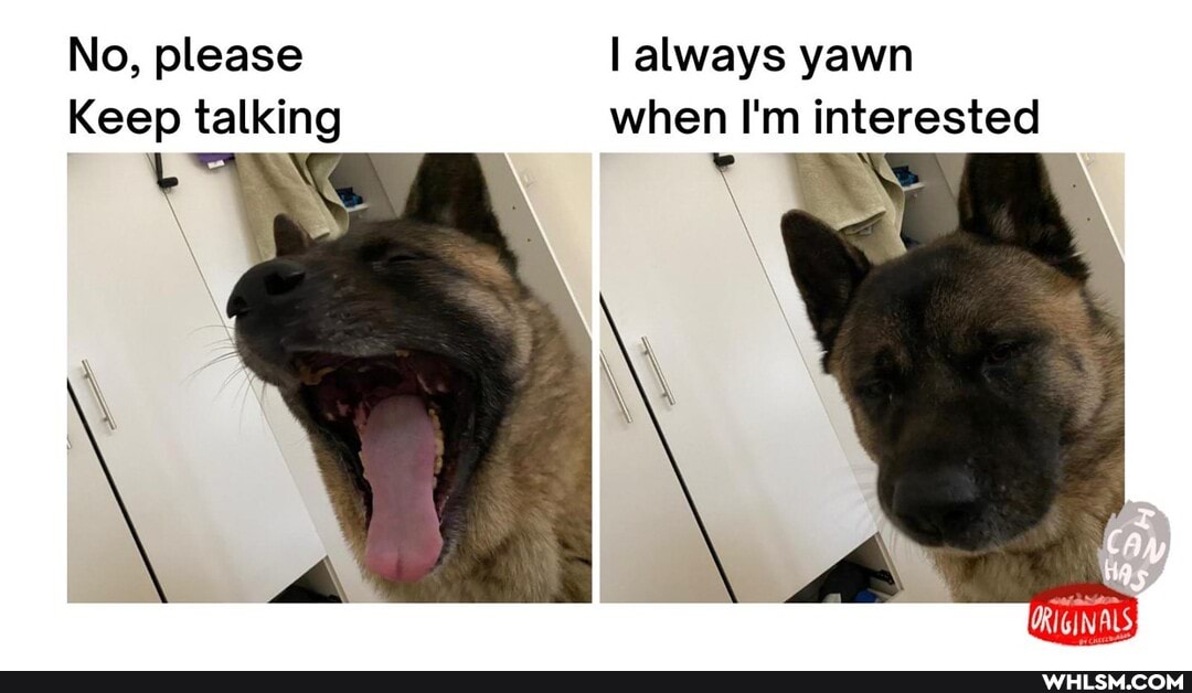 No, please always yawn
Keep talking when I'm interested