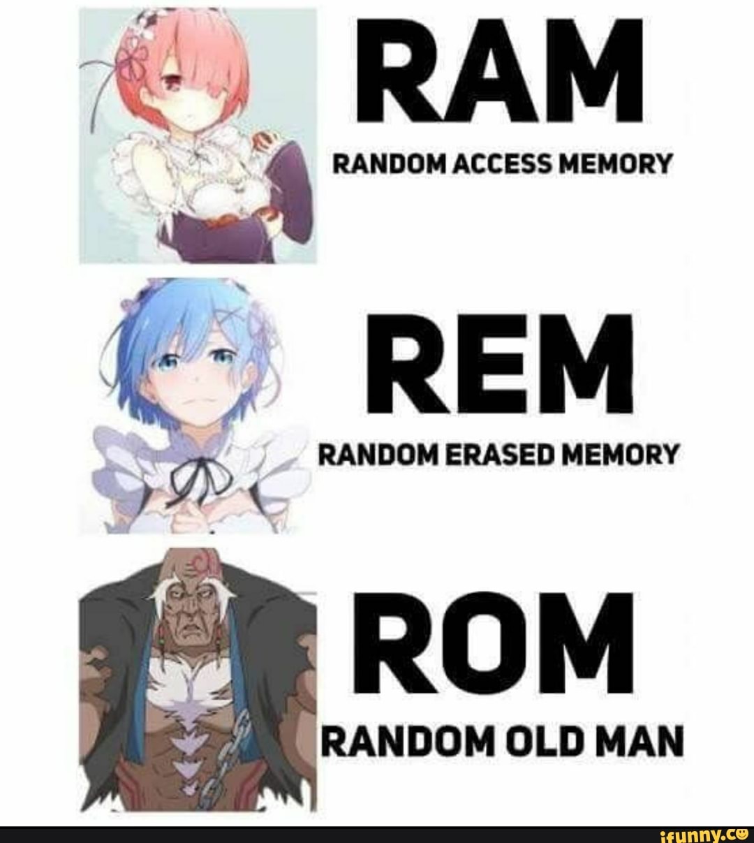 Ram Random Access Memory Rem Random Erased Memory Rom Random Old Man Ifunny