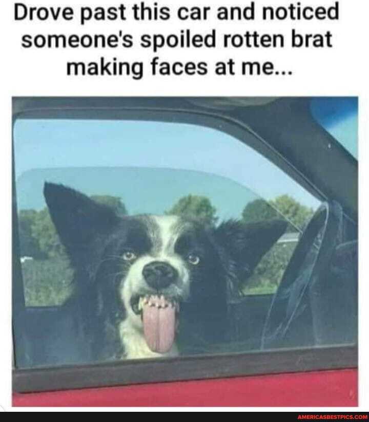Drove past this car and noticed someone's spoiled rotten brat making faces at me...