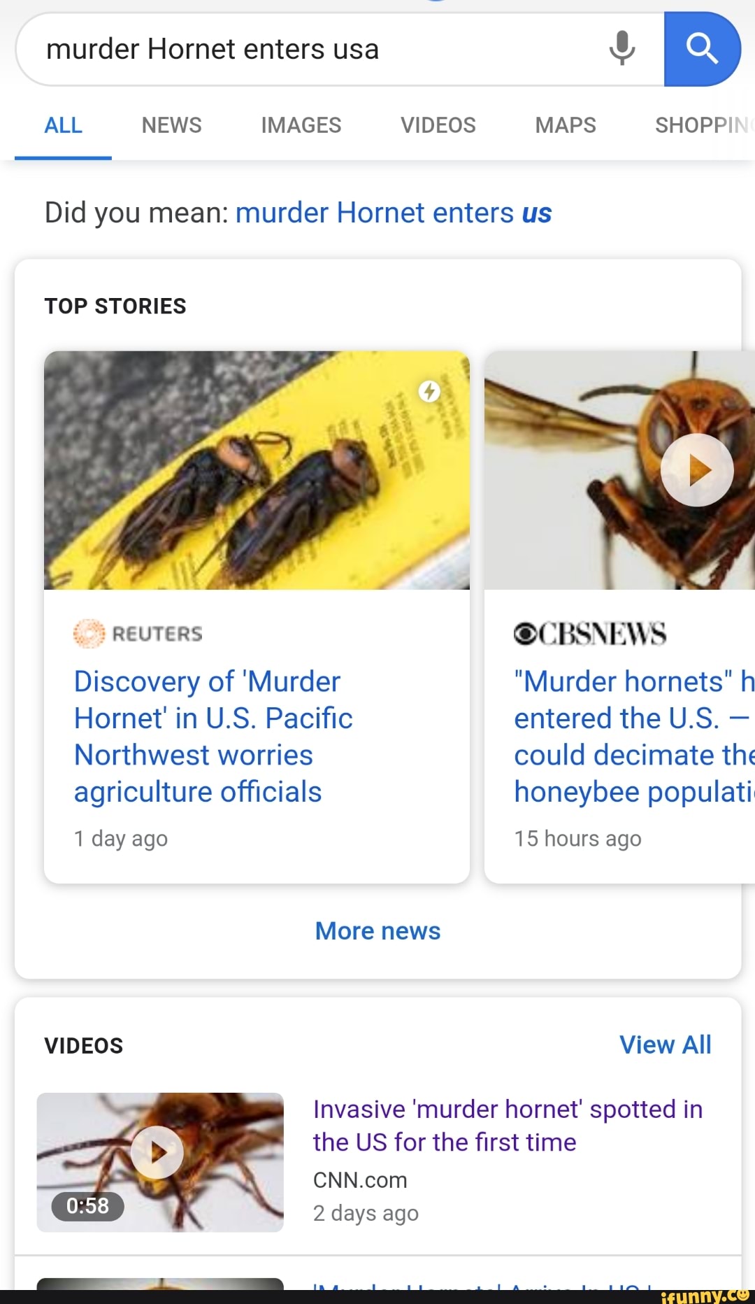 Did you mean: murder Hornet enters us TOP STORIES Invasive 'murder ...