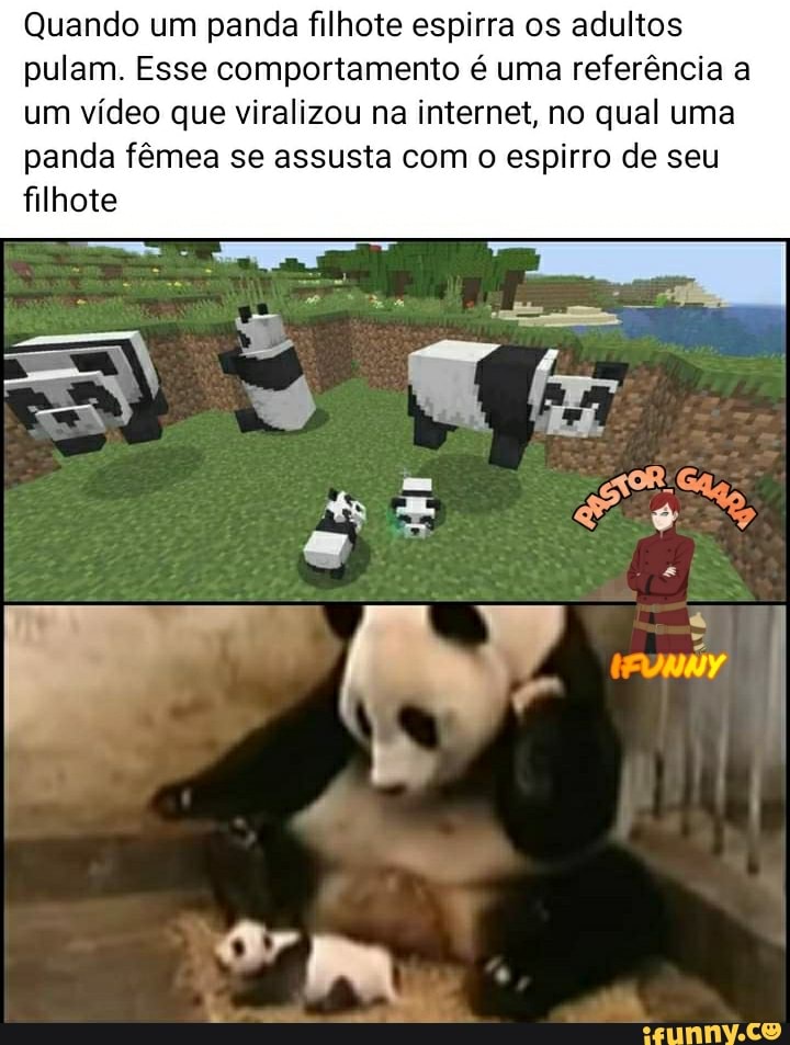 Quando um panda filhote espirra os adultos pulam. Esse comportamento é uma referência a um vídeo que viralizou na internet, no qual uma panda fêmea se assusta com o espirro de seu filhote