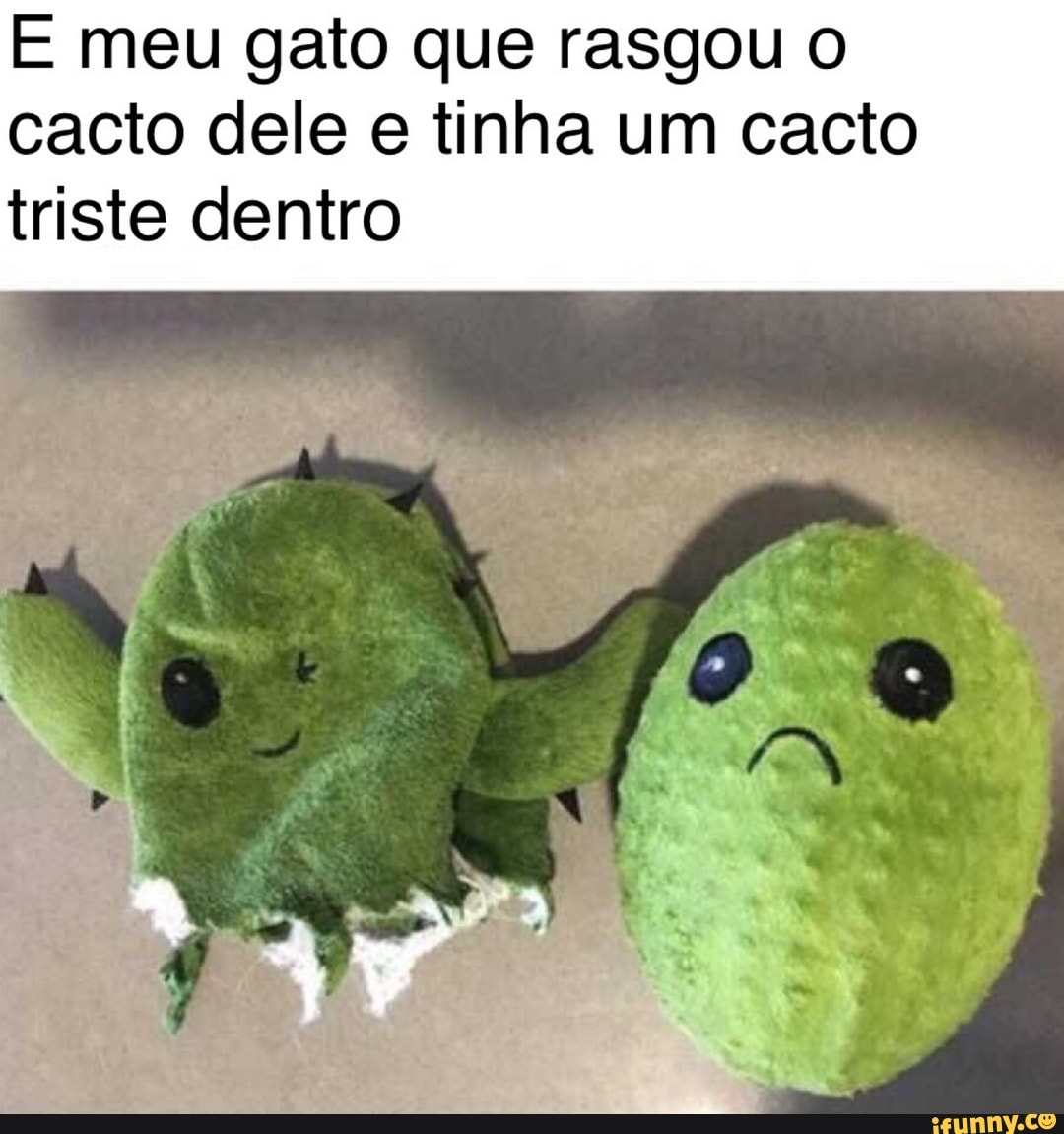 E meu gato que rasgou o
cacto dele e tinha um cacto
triste dentro