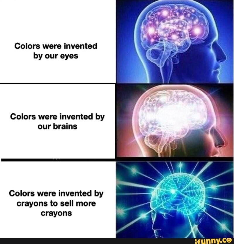 When Were Eyes Invented at Debbie Hay blog