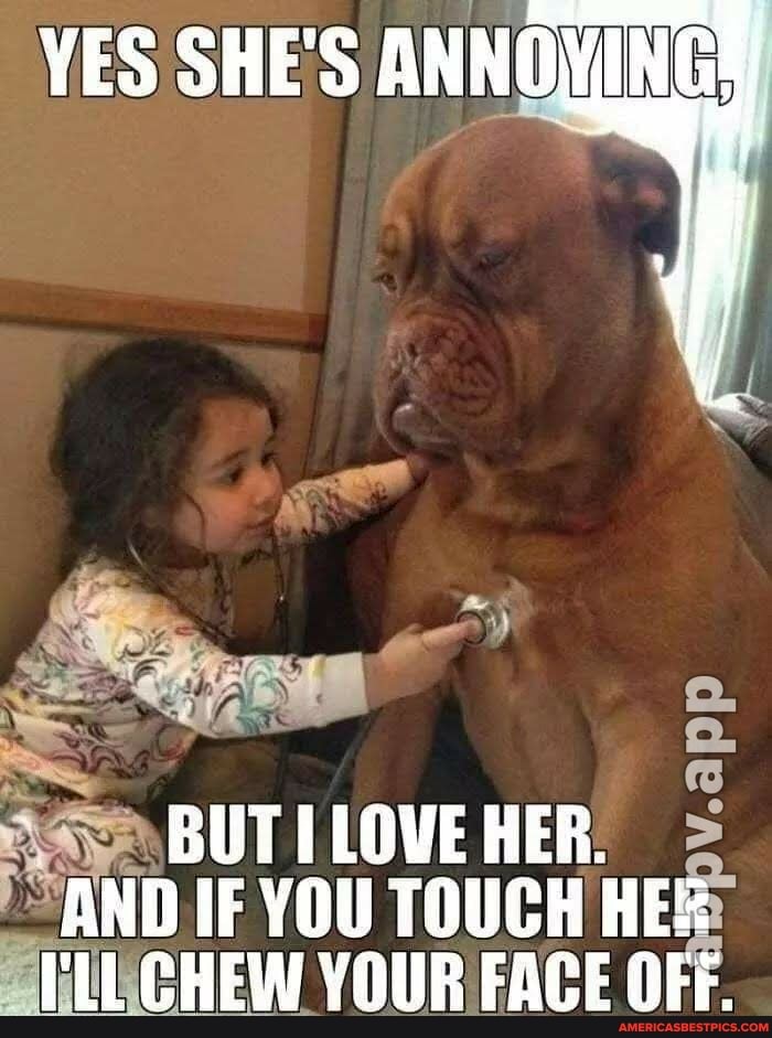 YES SHE'S ANNOMING?
gt
AS
BUT LOVE HER.
AND IF YOU TOUCH HE
I'LL CHEW YOUR FACE OFF.