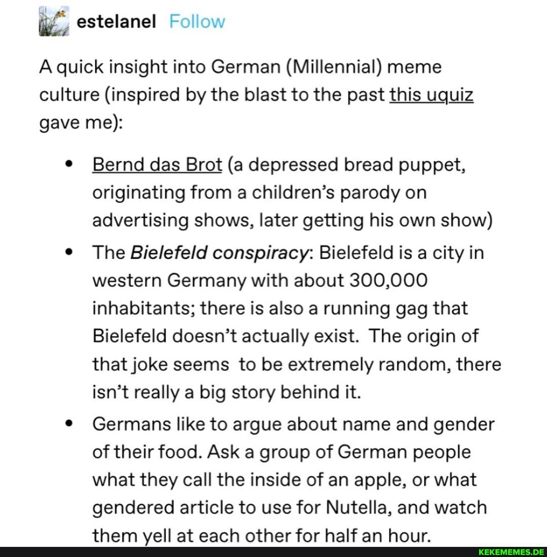 A quick insight into German (Millennial) meme culture (inspired by the