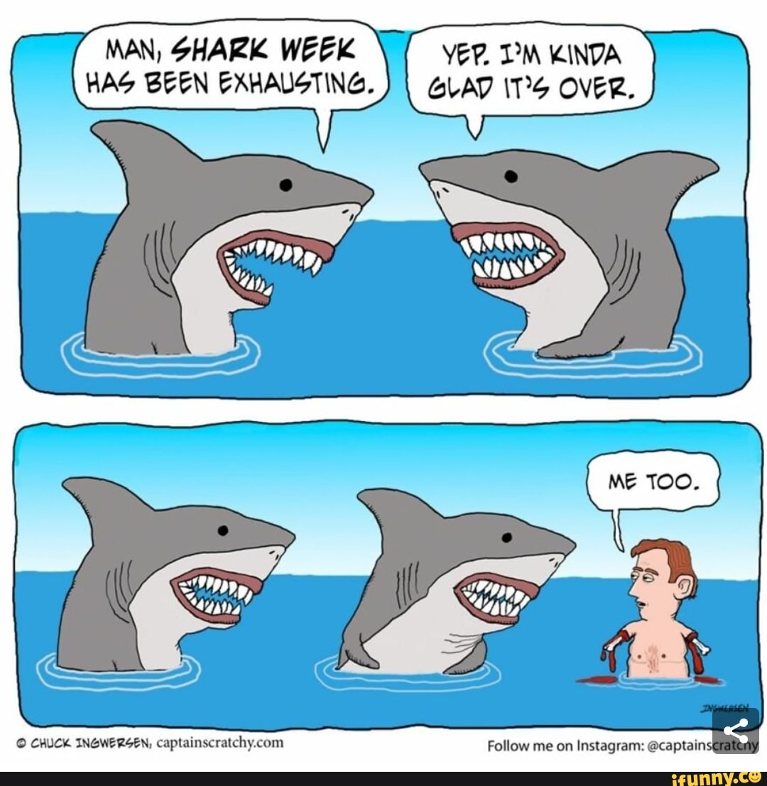 Shark week period meme