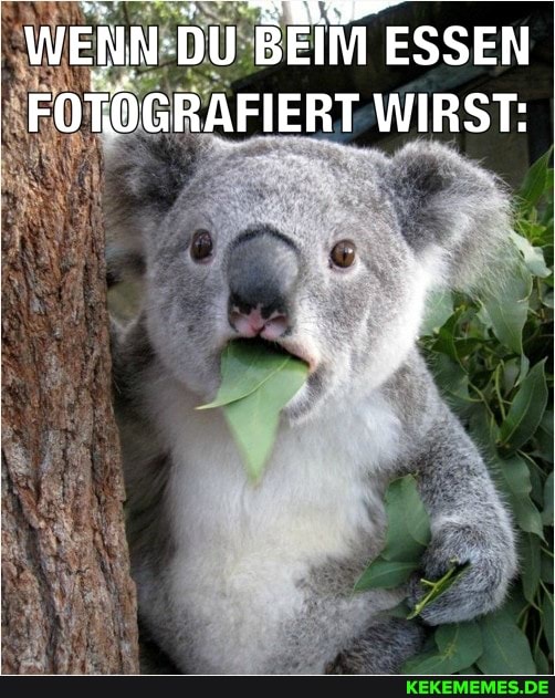 WENN- DU BEIM E ESSEN FORÖGRAFIERT WIRST: