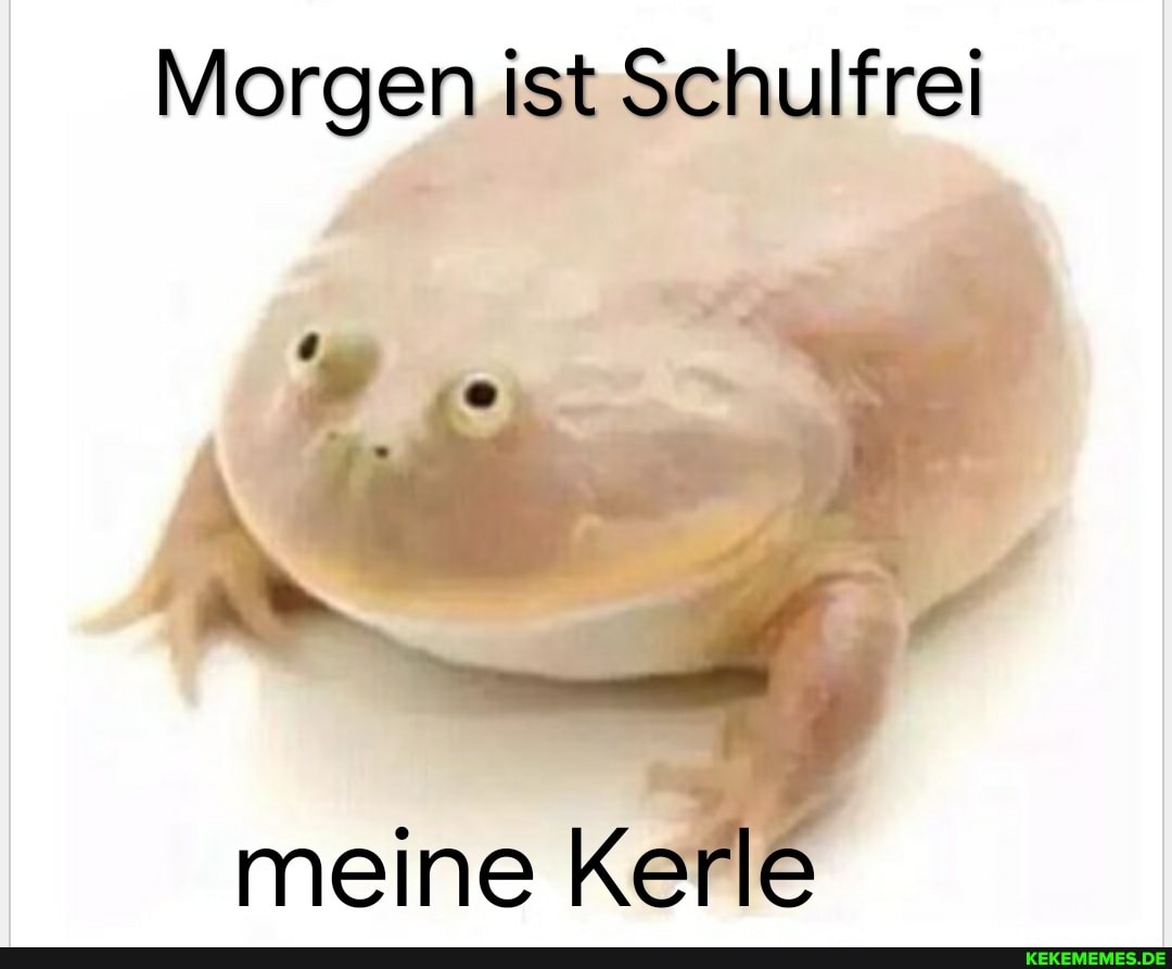 Morgen ist Schulfrei
meine Kerle