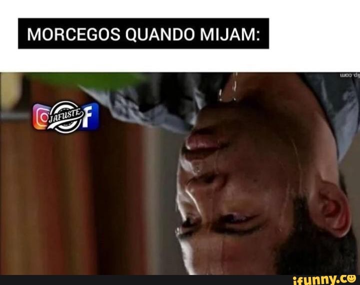MORCEGOS QUANDO MIJAM: