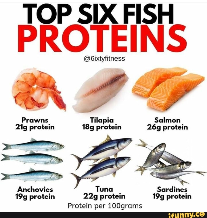 Tilapia protein 26g protein dni Tuna Sardines 19g protein 22g protein ...