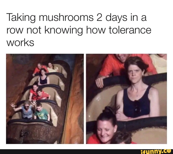 Taking mushrooms 2 days in row not knowing how tolerance works iFunny