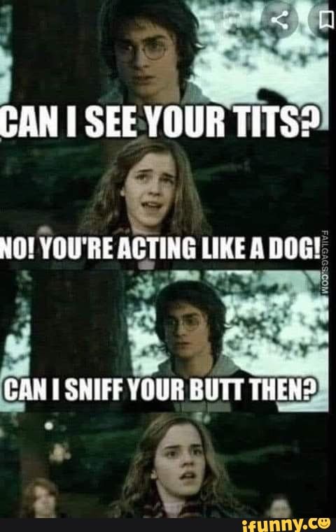 Can I See Your Tits