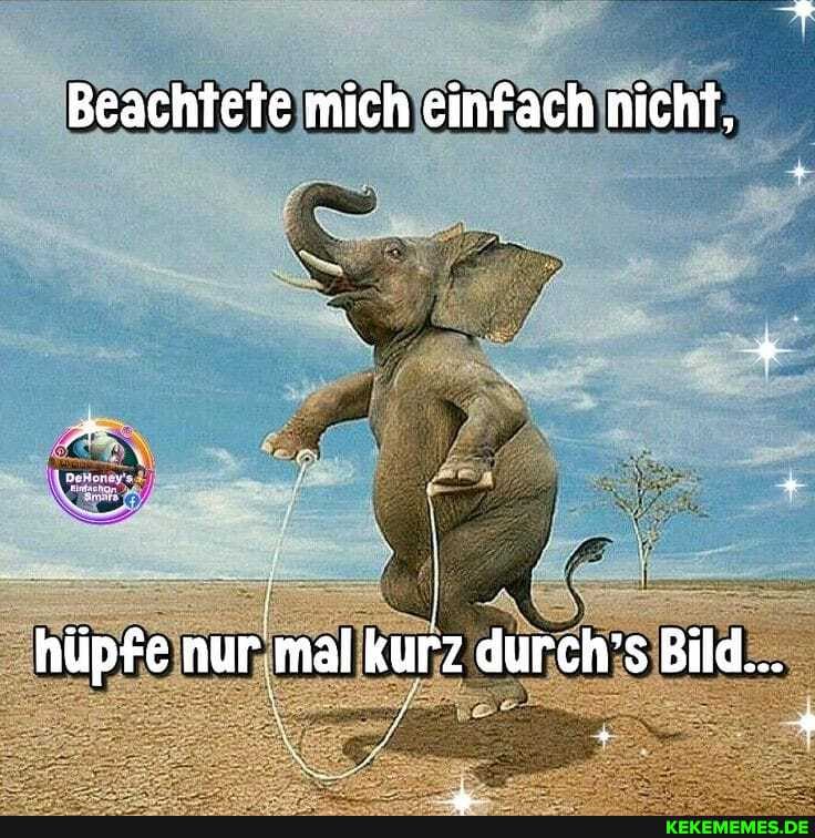 Beachtete mich einfach nicht,
hüpfe nur mal kurz durch's Bild...
\ 4