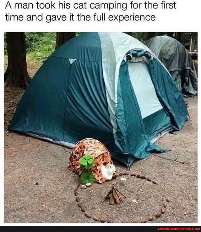 Amen took his cat camping for the first time and gave it the full experience