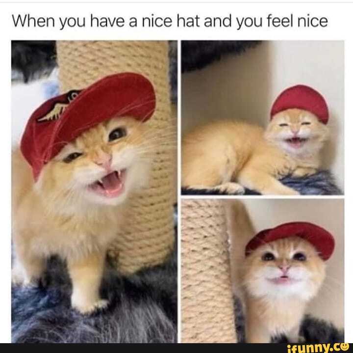 When you have a nice hat and you feel nice