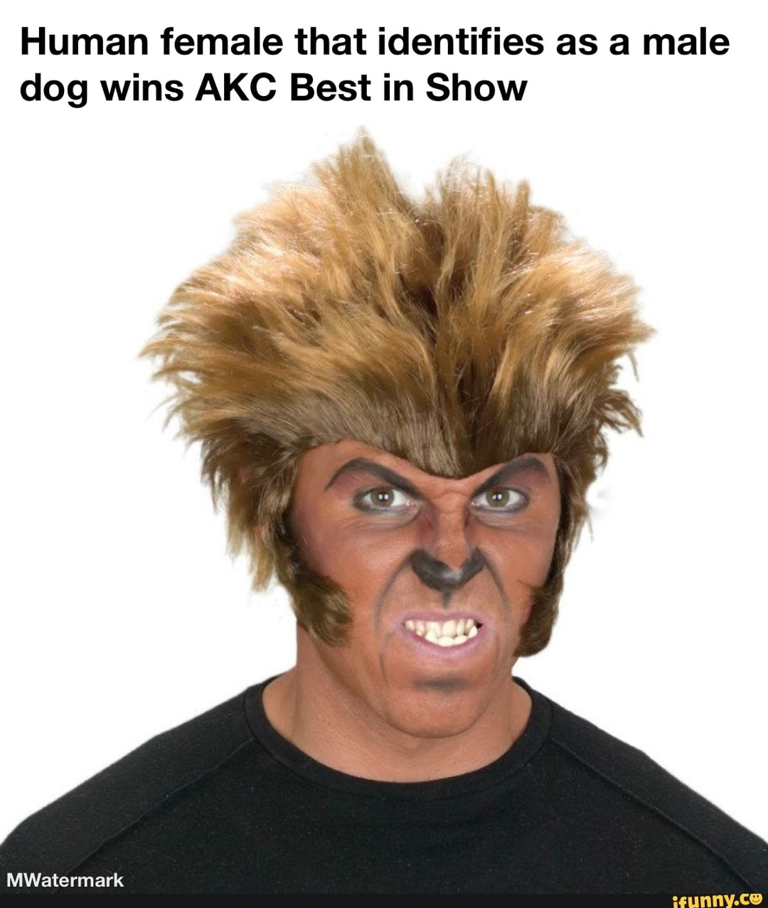Human female that identifies as a male dog wins AKC Best in Show OS