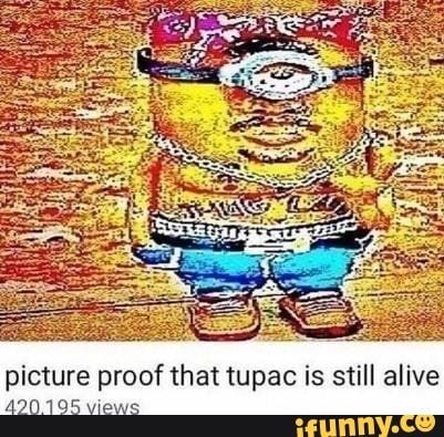 picture proof that tupac is still alive
A20.195 views