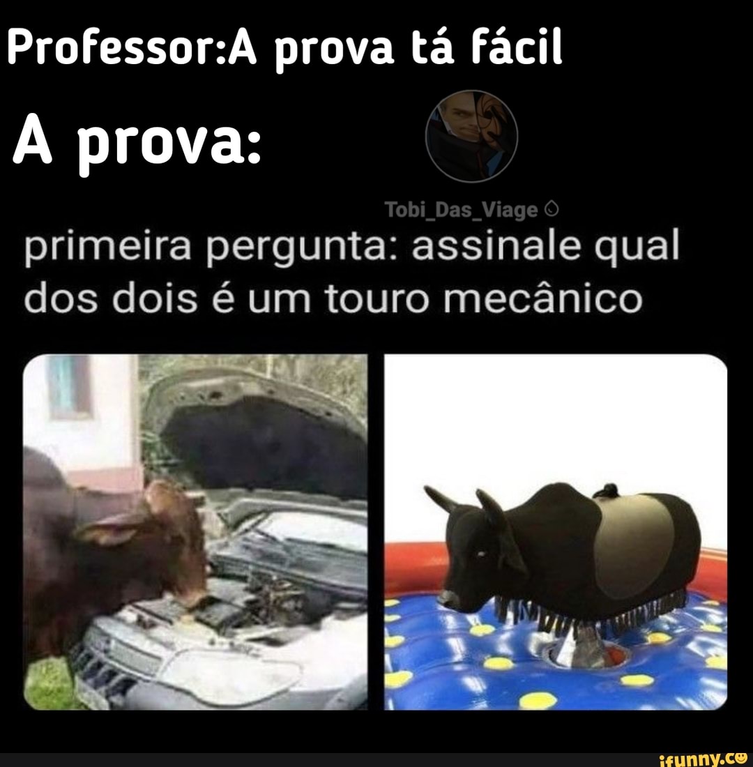 Professor: prova tá Fácil
provas
Tobi Das Viage O
primeira pergunta: assinale qual dos dois é um touro mecânico