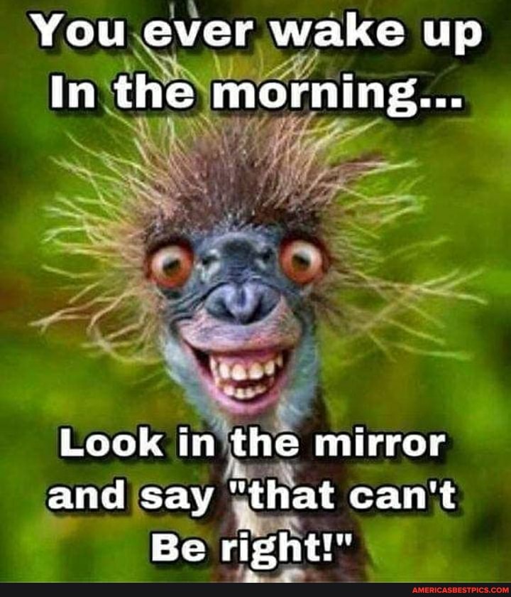 You ever wake up
In the morning...
Look in the mirror and say "that can't
Be right!"