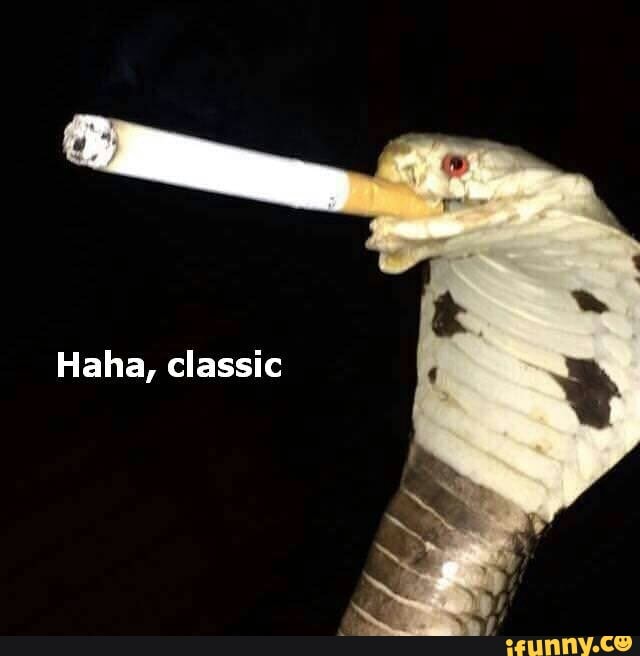 Haha, classic