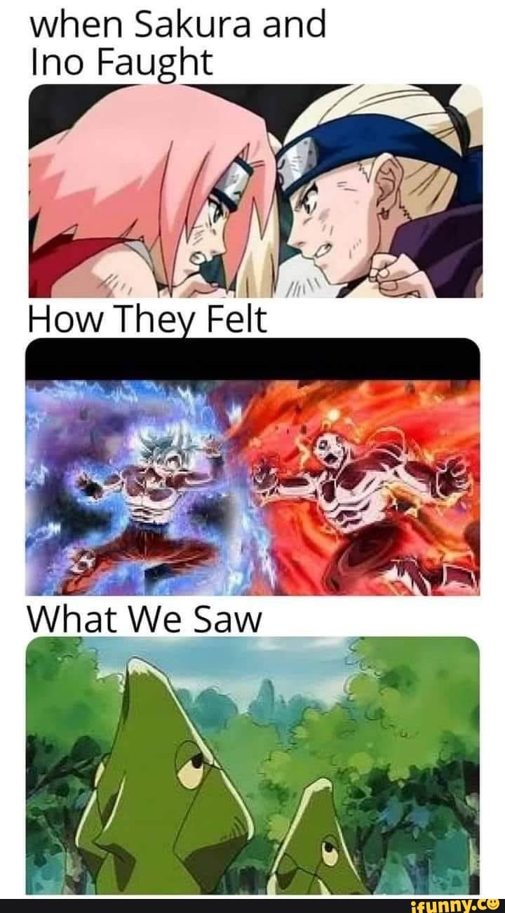 when Sakura and
Ino Faught
How They Felt
What We Saw