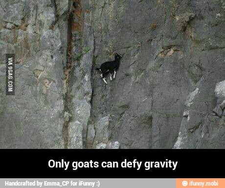 Only goats can defy gravity - Only goats can defy gravity