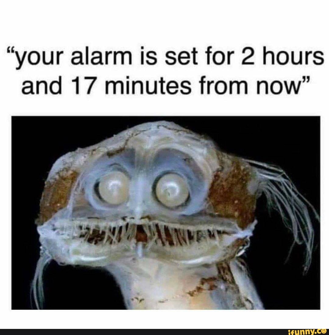 "your alarm is set for 2 hours and 17 minutes from now"