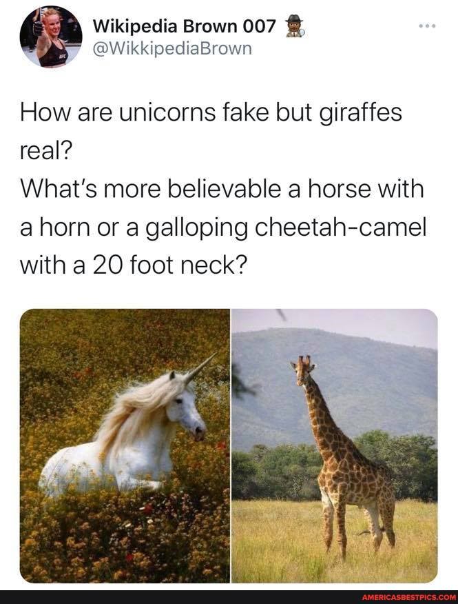 How are unicorns fake but giraffes real?
What's more believable a horse with a horn or a galloping cheetah-camel with a 20 foot neck?
of
