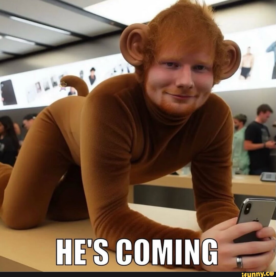 Ed Sheeran memes memes. The best memes on iFunny