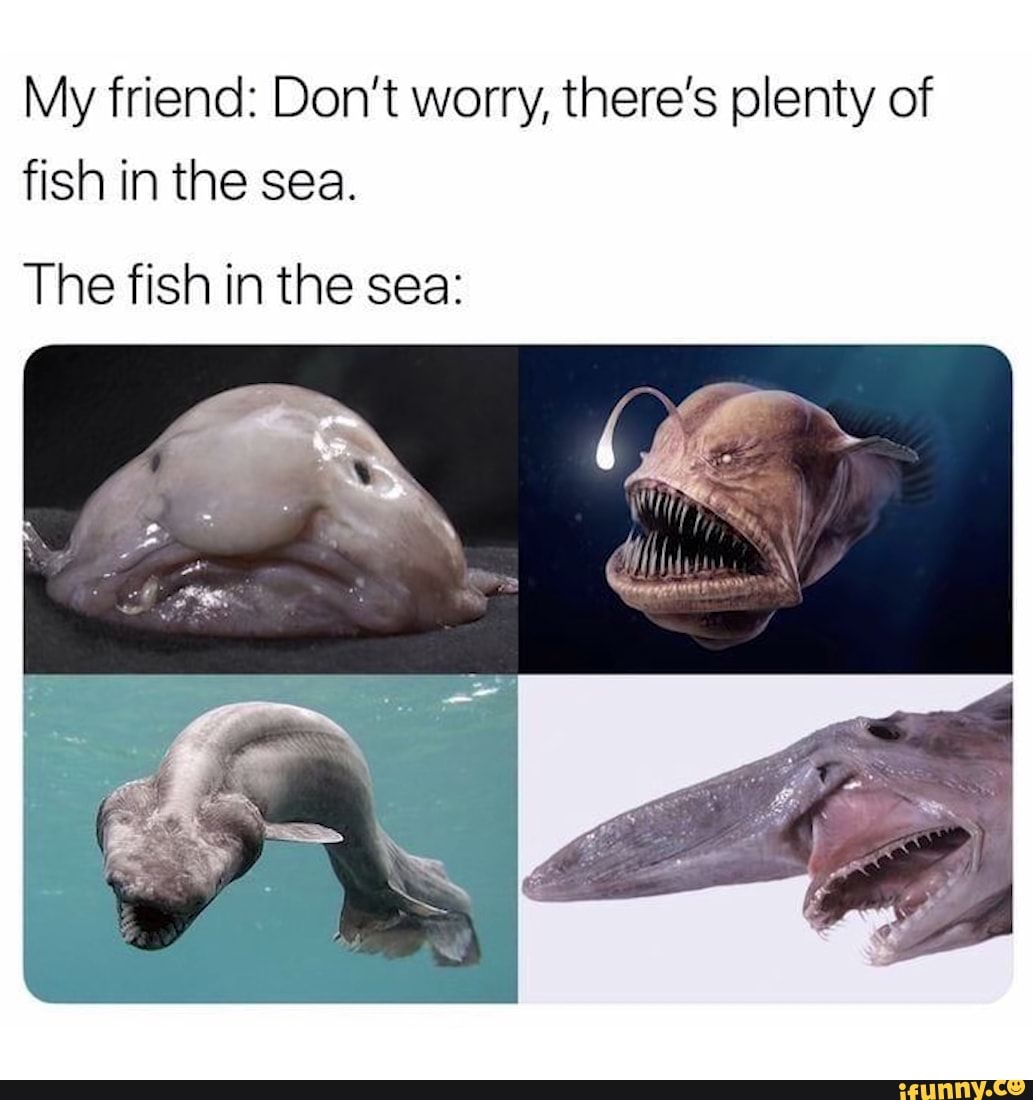 My friend: Don't worry, there's plenty of
fish in the sea.
The fish in the sea: