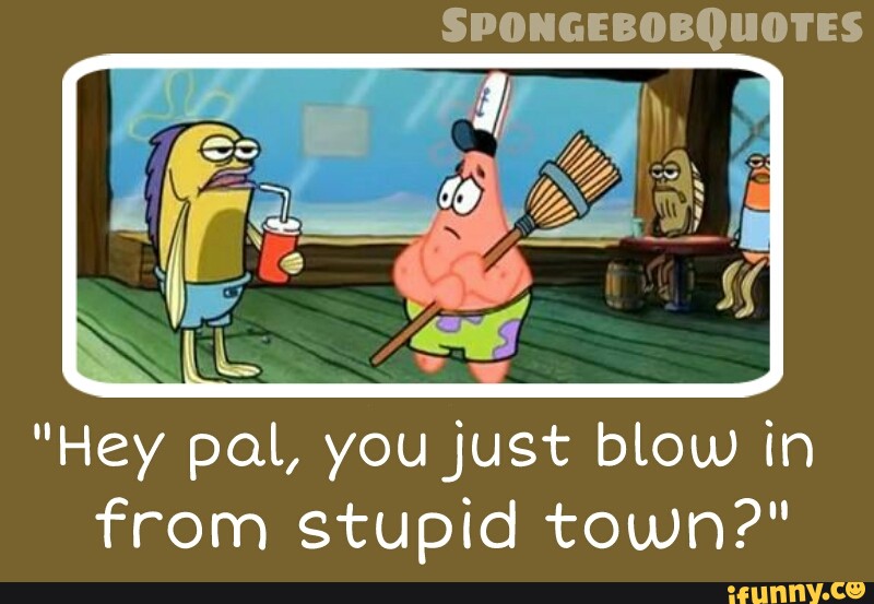 Hey Pal Youjust Blow In From Stupid Town Ifunny