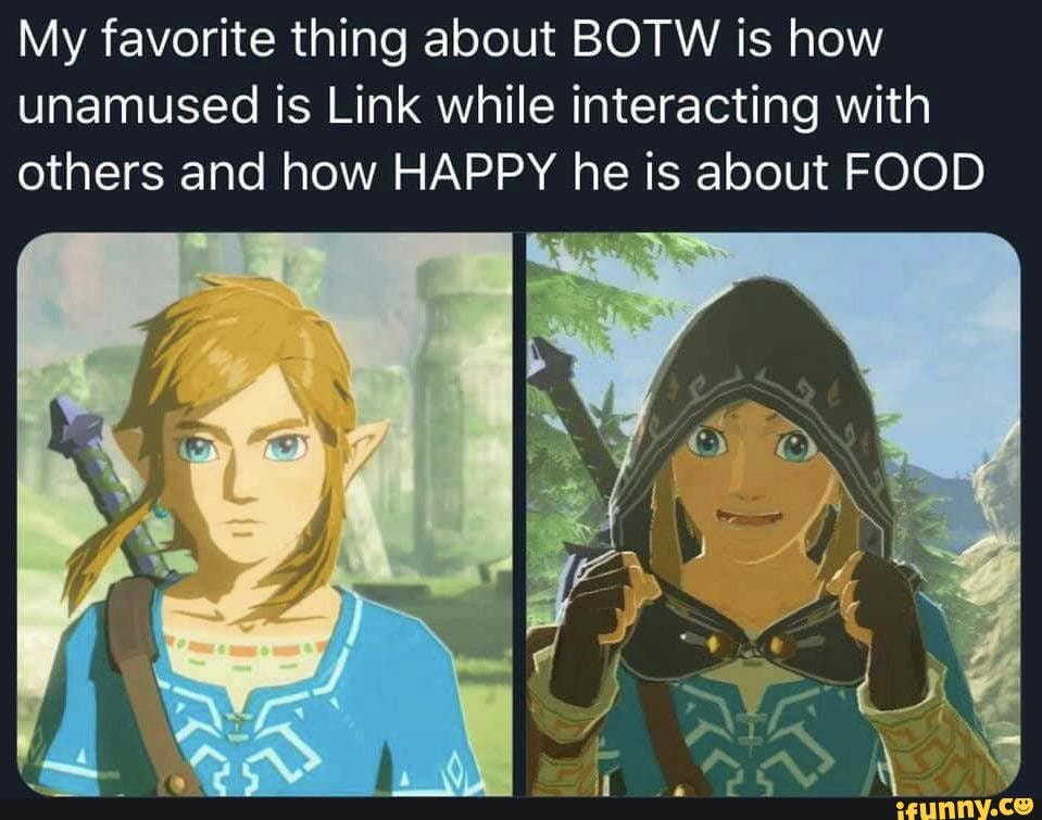My favorite thing about BOTW is how unamused is Link while interacting