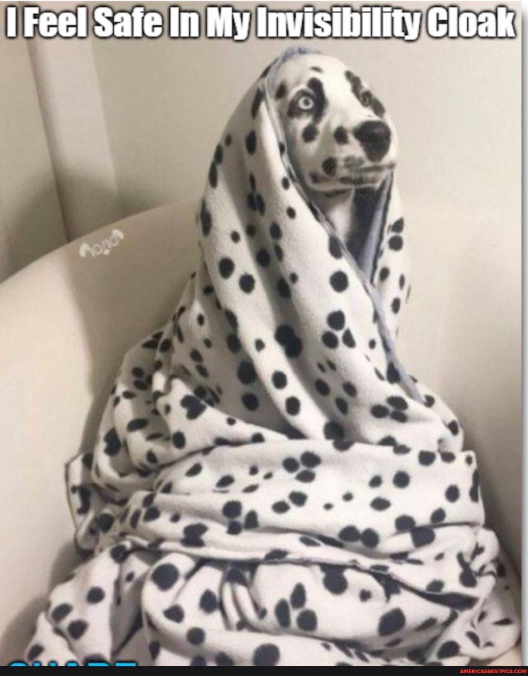 Feel Safe In My Invisibility Cloak