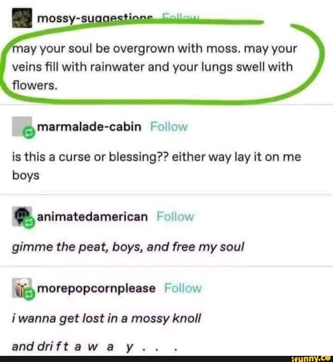 may your soul be overgrown with moss. may your veins fill with rainwater and your lungs swell with flowers.
Follow
is this a curse or blessing?? either way lay it on me boys animatedamerican Follow
gimme the peat, boys, and free my soul
morepopcornplease Follow i wanna get lost in a mossy knoll
and rift away.