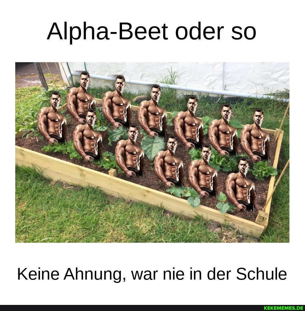 oder so
Keine Ahnung, war nie in der Schule