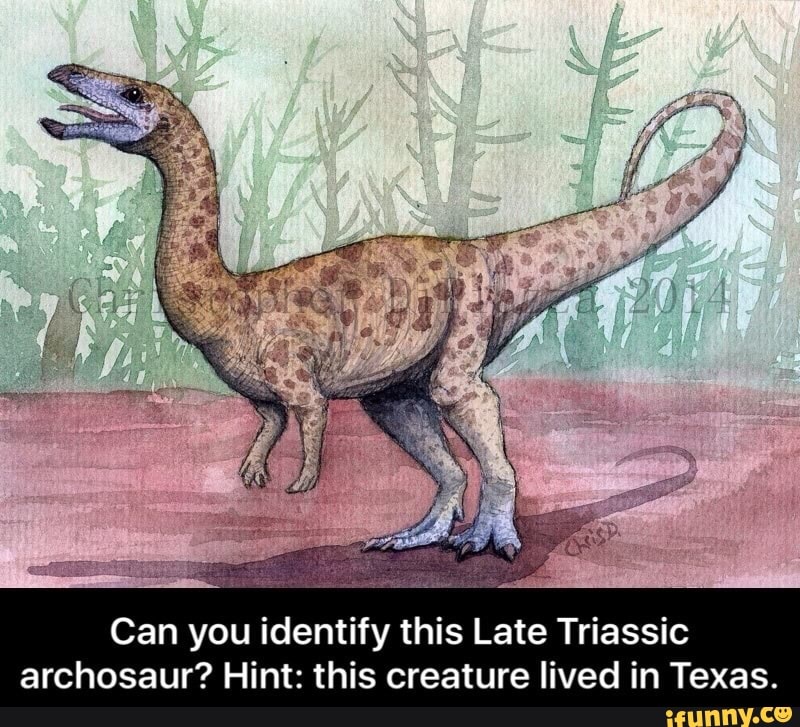 Can You Identify This Late Triassic Archosaur? Hint: This Creature 