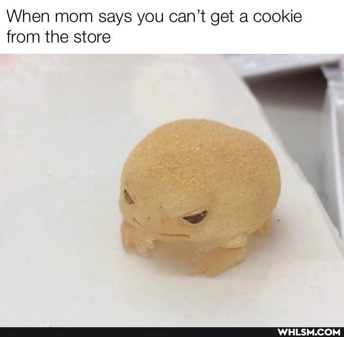 When mom says you can't get a cookie from the store
