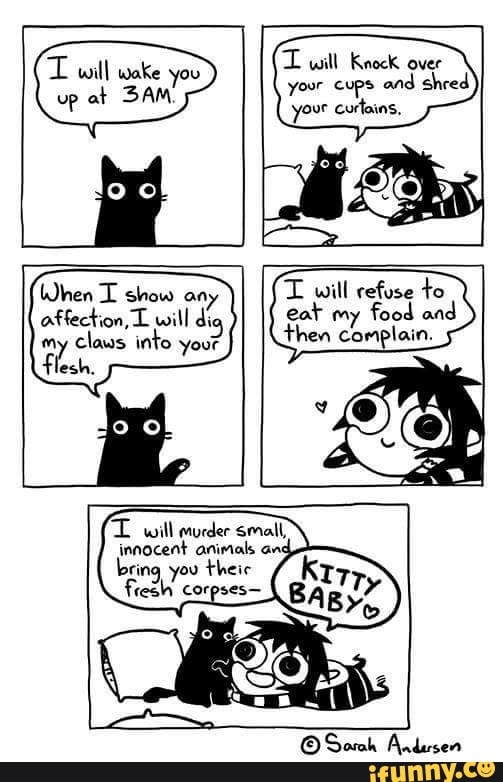 TT will wake you will Knock over up at yoor your cups and curtains, shred
your curtains,
When show any TL will refuse food to affection, L will di eat my food and claws into your then complain.
Flesh.
L will murder small innocent animals and bring you theic
Sarah Andersen