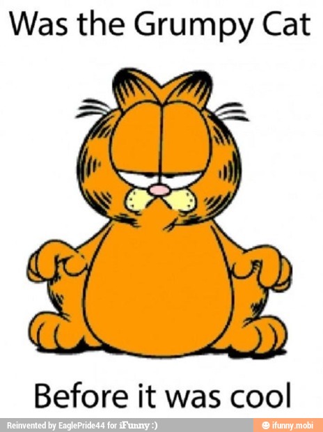 Was the Grumpy Cat
A que
re
Before it was cool